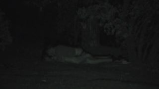 free online video 44 Galician Night 131 on public -2