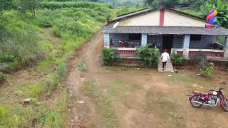 6234 Devadasi  - Balloons Originals-7