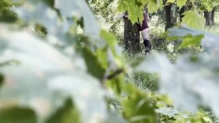 Maitresse Parker Walk in Blois Femdom Strapon FullHD Watch N-8