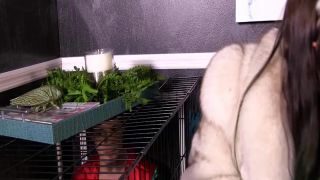 free porn clip 8 big cocks fuck hard ass IwantAmiee — Goddess Femdom — Bird bitch captured and trained, goddess femdom on masturbation porn-7