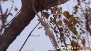 ty ebony whore gets caught stealing by big cock neighbor ...-0