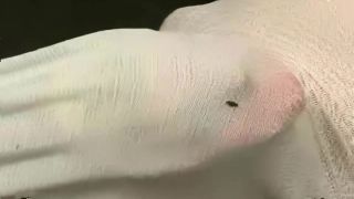 2002.11.09 - CowCross (Cowgirl) Sex Online Porn FullHD-8