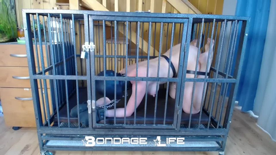 Cage Time With Clamps - 09.27.21 Download New Porn Video ...