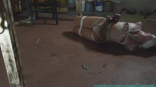 xxx clip 24 bdsm hotel bdsm porn | Violet skye strung up crotchroped and hogtied part 3 | bdsm-9