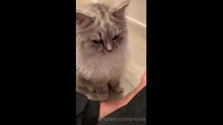 Isla D - onlyisla () Onlyisla - my cat has skills yo something sexy dropping for you guys tomorrow tonight you just get 23-08-2020-1