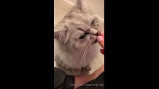 Isla D - onlyisla () Onlyisla - my cat has skills yo something sexy dropping for you guys tomorrow tonight you just get 23-08-2020-2