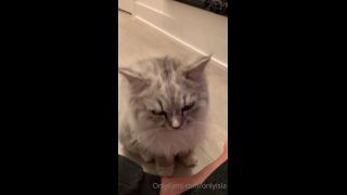 Isla D - onlyisla () Onlyisla - my cat has skills yo something sexy dropping for you guys tomorrow tonight you just get 23-08-2020-3