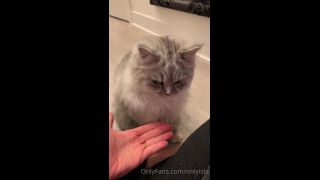 Isla D - onlyisla () Onlyisla - my cat has skills yo something sexy dropping for you guys tomorrow tonight you just get 23-08-2020-4