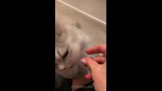 Isla D - onlyisla () Onlyisla - my cat has skills yo something sexy dropping for you guys tomorrow tonight you just get 23-08-2020-6