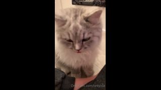 Isla D - onlyisla () Onlyisla - my cat has skills yo something sexy dropping for you guys tomorrow tonight you just get 23-08-2020-7