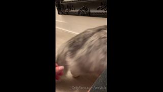 Isla D - onlyisla () Onlyisla - my cat has skills yo something sexy dropping for you guys tomorrow tonight you just get 23-08-2020-9