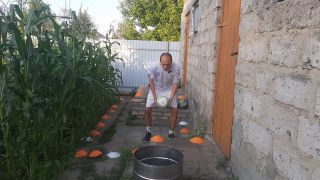 Ball Malvina the cat and I are playing barrel ball-0