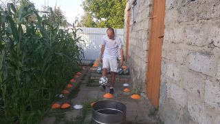 Ball Malvina the cat and I are playing barrel ball-1