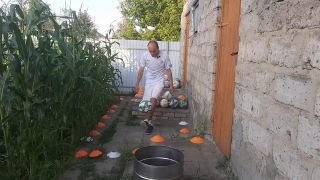 Ball Malvina the cat and I are playing barrel ball-2