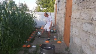 Ball Malvina the cat and I are playing barrel ball-3