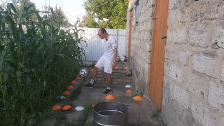 Ball Malvina the cat and I are playing barrel ball-7