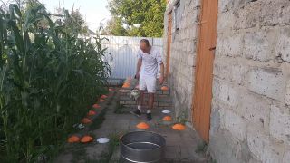 Ball Malvina the cat and I are playing barrel ball-9