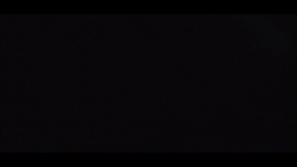 Exciting Night Adventures with Seductive Couples Explained