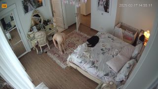 Voyeur 1350 Iran Tehran VFf2bQ2ym-3