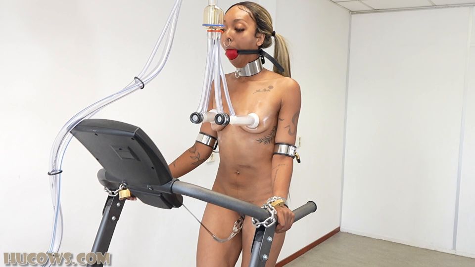fetish  HuCows – Thiccy Niccy on the treadmill  fetish
