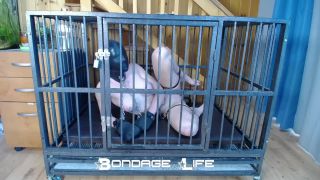 Cage Time With Clamps - 09.27.21 Download Porn Videos in ...-5