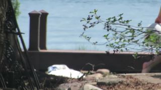 Downblouse - SEXY SUNBATHING TEEN ASS & NIP SLIP,  on voyeur -9