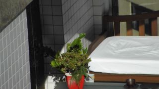 DSCF7199-8