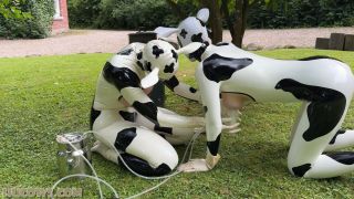 Anc1lla And Miss Fetilicious - Latex Hucows Outdoors - BDSM-6