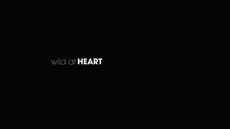 jasmine james hardcore Silvie – Wild at Heart, natural on hardcore porn