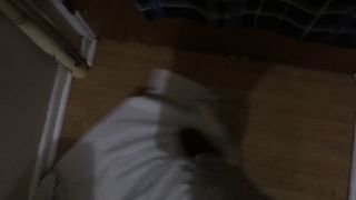 TommyDeangelo Throwing my buddy out after new whore sucks him off, now it's my turn next -(1080p30)-1