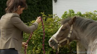 THE EQUESTRIAN LADY - My two disobedient stable boys Vid...-1