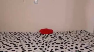 Online Tube Shemale Webcams Video for December 19, 2018 - shemales-6