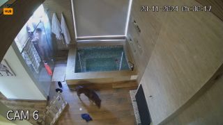 Voyeur 782 Colombia Medellín 7SEOOcP1T-2