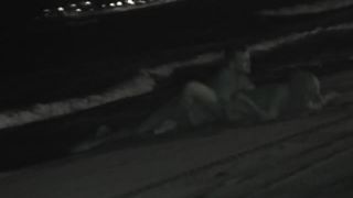  voyeur | Night Watching 123 | watch-0