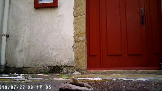 Hidden-Zone presents Voyeur – hz_26326 Voyeur!-1