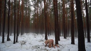 online adult video 42 blood fetish porn femdom porn | Mistress Firewolf - Punished With 100 Whiplashes In The Snow | femdom-9