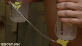 7329 0579 157945792 Preggo, Lactation-5
