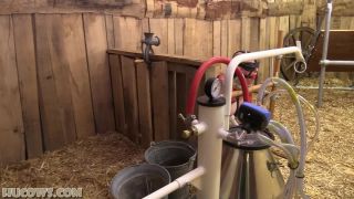 7552 Hucow 38 Sybian And Goat Milker Saf-1