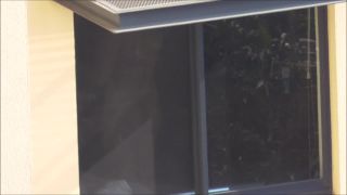 vacation-rental-window-peeper-0