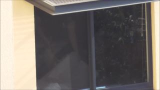 vacation-rental-window-peeper-5
