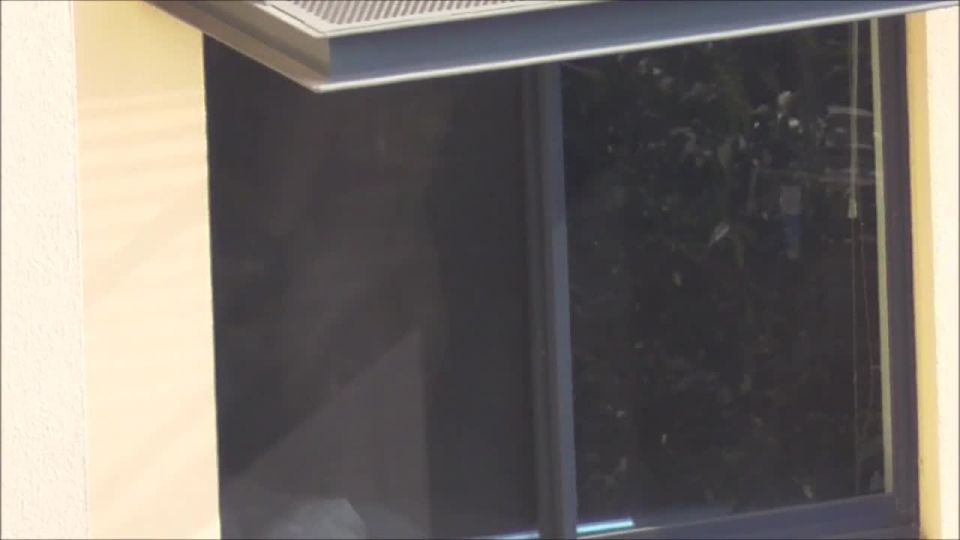 vacation-rental-window-peeper