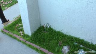 adult xxx video 29 DisciplinaryArts – Obeying Curfew – Yasmine Sinclair - mr. troy - femdom porn coughing fetish-1