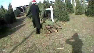 PublicFlash star (mp4)-1
