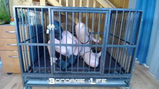 adult xxx clip 21 Bondage Life – Cage Time With Clamps Rachel Greyhound | fetish | bdsm porn bdsm femdom slave-5