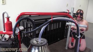 clip 48 Hucows – HuCow 38 – red cow milker, porno doctor bdsm on femdom porn -8