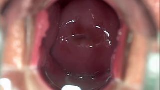 6260 Momo Kitagami 2-6