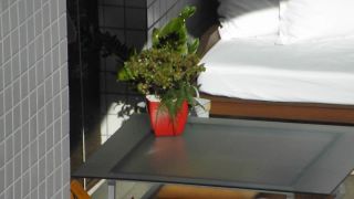DSCF7203-1