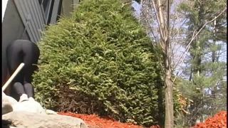 [SiteRip] BodySheen die01-3