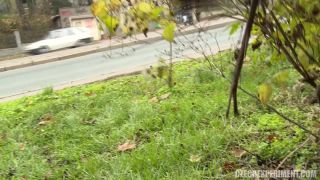 free porn clip 24 Public Dogging - public sex - public -6