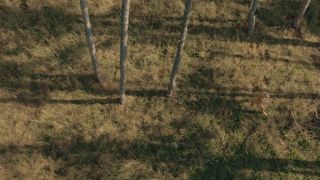 [FrolicMe] Nikky Dream Wild Bush [07.11.25] [1080p]-1